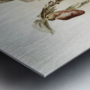 Dendrobium brymerianum from Reichenbachia Orchids 1888-1894 illustrated by Frederick Sander 1847-1920.  Metal print