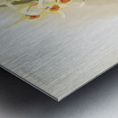 Dendrobium aureum from Reichenbachia Orchids 1888-1894 illustrated by Frederick Sander 1847-1920.  Metal print