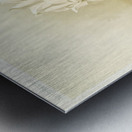 Lælia autumnalis alba from Reichenbachia Orchids 1888-1894 illustrated by Frederick Sander 1847-1920.  Metal print