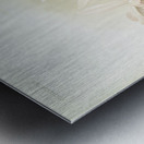 Lælia hybrida behrensiana from Reichenbachia Orchids 1888-1894 illustrated by Frederick Sander 1847-1920.  Metal print