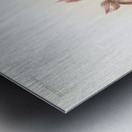 Cypripedium tautzianum from Reichenbachia Orchids 1888-1894 illustrated by Frederick Sander 1847-1920.  Metal print