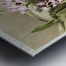 Aërides savageanum from Reichenbachia Orchids 1888-1894 illustrated by Frederick Sander 1847-1920.  Metal print