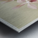 Cattleya victoria regina from Reichenbachia Orchids 1888-1894 illustrated by Frederick Sander 1847-1920.  Metal print