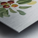 Musky pear Pyrus sativa from Pomona Italiana 1817 - 1839 by Giorgio Gallesio 1772-1839.  Metal print