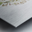 Pear tree flowers Pyrus calleryana from Pomona Italiana 1817 - 1839 by Giorgio Gallesio 1772-1839.  Metal print