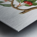 Cherry Ciliegio visciolino from Pomona Italiana 1817 - 1839 by Giorgio Gallesio 1772-1839.  Metal print