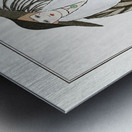 Costumes Parisiens: Manteau de Zibelin 1912 fashion illustration  by George Barbier.  Metal print