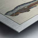 Langs de Missouri 1923 fashion illustration  by George Barbier.  Metal print