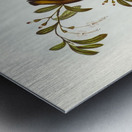 Red-lored Pardalote Pardalotus rubricatus illustrated by Elizabeth Gould 1804–1841 for John Gould’s 1804-1881 Birds of Australia  Metal print