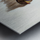 Australian Roller Eurystomus Australis illustrated by Elizabeth Gould 1804–1841 for John Gould’s 1804-1881 Birds of Australia  Metal print