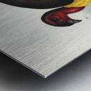 Brush turkey Talegalla Lathamii illustrated by Elizabeth Gould 1804–1841 for John Gould’s 1804-1881 Birds of Australia  Metal print