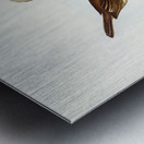 White-bellied Shrike-Tit Falcunculus leucogaster illustrated by Elizabeth Gould 1804–1841 for John Gould’s 1804-1881 Birds of Australia  Metal print