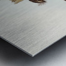 White-bellied Owlet Nightjar Aegotheles leucogaster Gould illustrated by Elizabeth Gould 1804–1841 for John Gould’s 1804-1881 Birds of Australia  Metal print