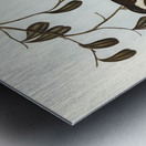 Grey-tailed Pachycephala Pachycephala glaucura illustrated by Elizabeth Gould 1804–1841 for John Gould’s 1804-1881 Birds of Australia  Metal print