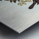 Broad-billed Flycatcher Myiagra latirostris illustrated by Elizabeth Gould 1804–1841 for John Gould’s 1804-1881 Birds of Australia  Metal print