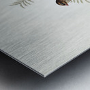 Fire-tailed Finch illustrated by Elizabeth Gould 1804–1841 for John Gould’s 1804-1881 Birds of Australia  Metal print