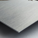 Norfolk Island Robin Petroica erythrogastra illustrated by Elizabeth Gould 1804–1841 for John Gould’s 1804-1881 Birds of Australia  Metal print