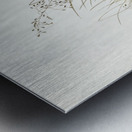 Australian Pipit Anthus Australis illustrated by Elizabeth Gould 1804–1841 for John Gould’s 1804-1881 Birds of Australia  Metal print