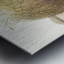 Spotted Bower Bird Chlamydera maculata illustrated by Elizabeth Gould 1804–1841 for John Gould’s 1804-1881 Birds of Australia  Metal print