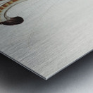 Lyre Bird Menura superba illustrated by Elizabeth Gould 1804–1841 for John Gould’s 1804-1881 Birds of Australia  Metal print