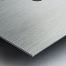 Red-tailed Finch Estrelda ruficauda illustrated by Elizabeth Gould 1804–1841 for John Gould’s 1804-1881 Birds of Australia  Metal print