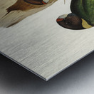 Curlew Sandpiper Schoeniclus subarquatus illustrated by Elizabeth Gould 1804–1841 for John Gould’s 1804-1881 Birds of Australia  Metal print