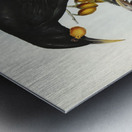 Gould&39s Neomorpha Neomorpha Gouldii illustrated by Elizabeth Gould 1804–1841 for John Gould’s 1804-1881 Birds of Australia  Metal print