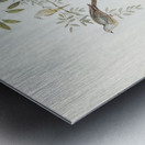 Chestnut-breasted Finch Donacola castaneothorax illustrated by Elizabeth Gould 1804–1841 for John Gould’s 1804-1881 Birds of Australia  Metal print