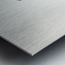 White-fronted chat Ephthianura albifrons illustrated by Elizabeth Gould 1804–1841 for John Gould’s 1804-1881 Birds of Australia  Metal print