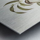 Unadorned Cuckoo Cuculus inornatus illustrated by Elizabeth Gould 1804–1841 for John Gould’s 1804-1881 Birds of Australia  Metal print