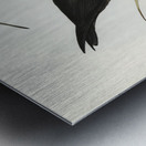 New Zealand Stilt Himantopus Novae-Zelandiae illustrated by Elizabeth Gould 1804–1841 for John Gould’s 1804-1881 Birds of Australia  Metal print