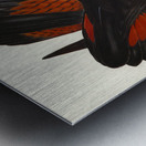 Leachs Cockatoo Calyptorhynchus Leachii illustrated by Elizabeth Gould 1804–1841 for John Gould’s 1804-1881 Birds of Australia  Metal print