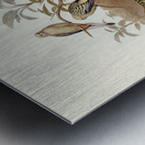 Blue-cheeked Parakeet Platycercus cyanogenys illustrated by Elizabeth Gould 1804–1841 for John Gould’s 1804-1881 Birds of Australia  Metal print