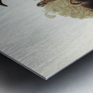 One-carunculated Cassowary Casuarius uniappendiculatus illustrated by Elizabeth Gould 1804–1841 for John Gould’s 1804-1881 Birds of Australia  Metal print