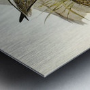 Australian Greenshank Glottis Glottoides illustrated by Elizabeth Gould 1804–1841 for John Gould’s 1804-1881 Birds of Australia  Metal print