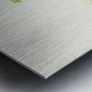 Sparkling Hemipode Hemipodius scintillans illustrated by Elizabeth Gould 1804–1841 for John Gould’s 1804-1881 Birds of Australia  Metal print