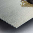 Australian Cassowary Casuarius australis illustrated by Elizabeth Gould 1804–1841 for John Gould’s 1804-1881 Birds of Australia  Metal print