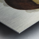 Chestnut-breasted Cuckoo Cacomantis castaneiventris illustrated by Elizabeth Gould 1804–1841 for John Gould’s 1804-1881 Birds of Australia  Metal print