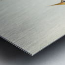 White-bellied Bronzewing Lophophaps leucogaster illustrated by Elizabeth Gould 1804–1841 for John Gould’s 1804-1881 Birds of Australia  Metal print