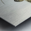 Chestnut-backed Hemipode Hemipodius castanotus illustrated by Elizabeth Gould 1804–1841 for John Gould’s 1804-1881 Birds of Australia  Metal print