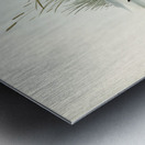 Water Crake Porzana palustris illustrated by Elizabeth Gould 1804–1841 for John Gould’s 1804-1881 Birds of Australia  Metal print