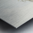 Chestnut-bellied Rail Eulabeornis castaneoventris illustrated by Elizabeth Gould 1804–1841 for John Gould’s 1804-1881 Birds of Australia  Metal print