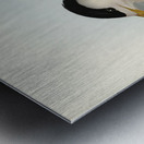 Torres Straits Tern Thalasseus Pelecanoides illustrated by Elizabeth Gould 1804–1841 for John Gould’s 1804-1881 Birds of Australia  Metal print