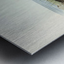 Double-banded Dottrel Hiaticula bicincta illustrated by Elizabeth Gould 1804–1841 for John Gould’s 1804-1881 Birds of Australia  Impression metal