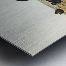 Sooty Oyster-Catcher Haematopus fuliginosus illustrated by Elizabeth Gould 1804–1841 for John Gould’s 1804-1881 Birds of Australia  Metal print