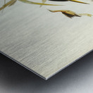 Minute Bittern Ardetta pusilla illustrated by Elizabeth Gould 1804–1841 for John Gould’s 1804-1881 Birds of Australia  Metal print