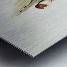 Welcome Swallow Hirundo neoxena illustrated by Elizabeth Gould 1804–1841 for John Gould’s 1804-1881 Birds of Australia  Metal print