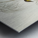 Singing Honey-eater Ptilotis sonorus illustrated by Elizabeth Gould 1804–1841 for John Gould’s 1804-1881 Birds of Australia  Metal print