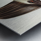 Australian Cassowary Casuarius australisillustrated by Elizabeth Gould 1804–1841 for John Gould’s 1804-1881 Birds of Australia  Metal print