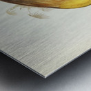 Spotless Gallinule Porzana immaculata illustrated by Elizabeth Gould 1804–1841 for John Gould’s 1804-1881 Birds of Australia  Metal print